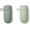 Tanya Smoothie Bottle 2-pack Peppermint/Dusty mint mix